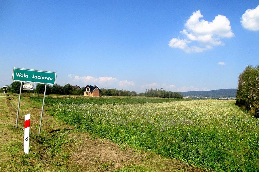 Dzięki za dobrą pogodę
