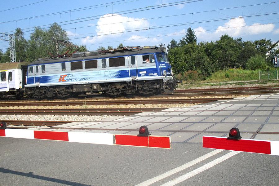 Zapuszczanie korzeni w Suchedniowie