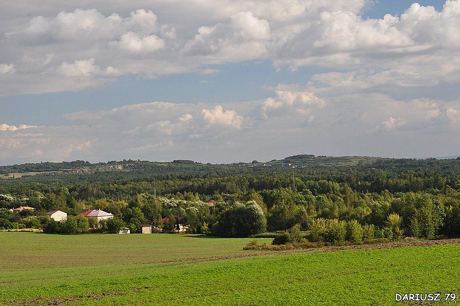 Wysoka - Widok w stronę Niegowonic