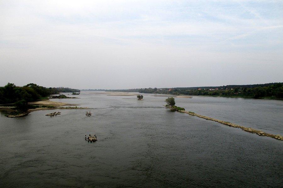Wisła w Annopolu