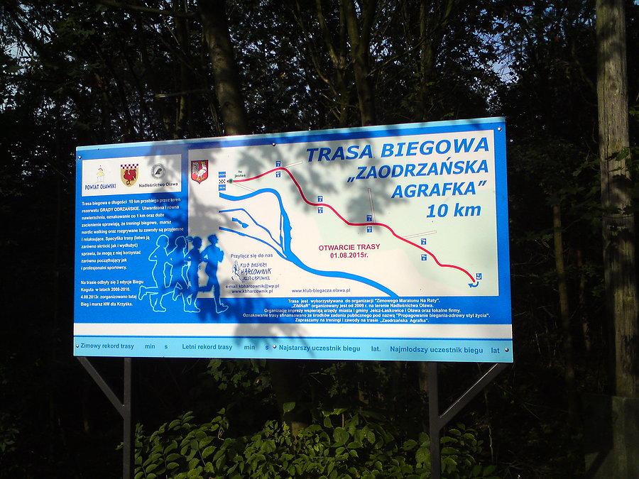 Zaodrzańska agrafka