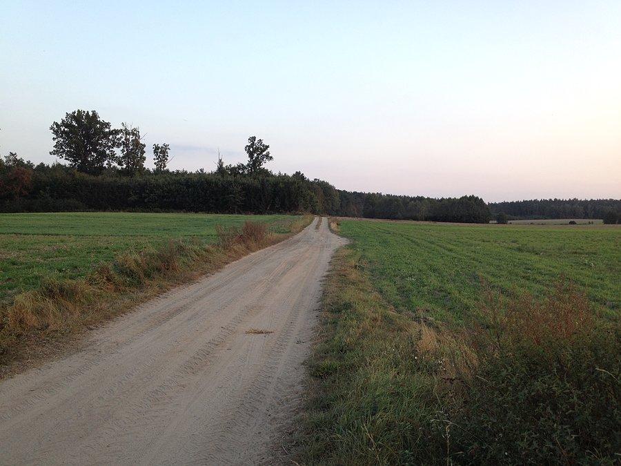 Droga w kierunku Sławienka