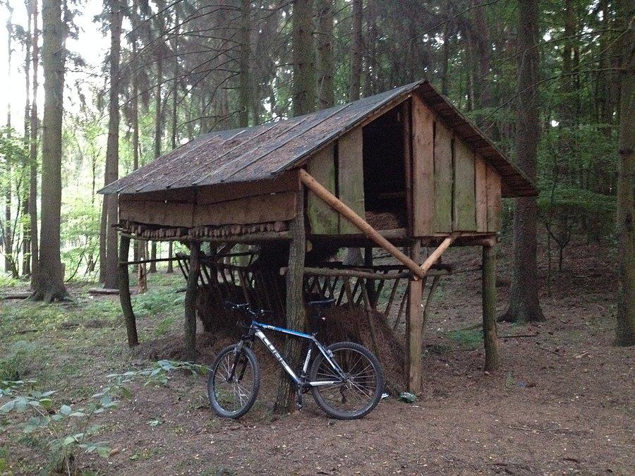 Paśnik w lesie niedaleko Sławienka