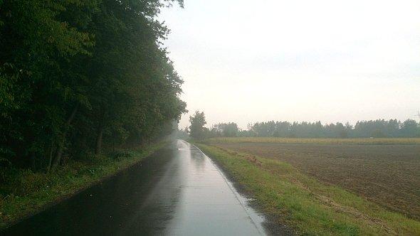 Mokro