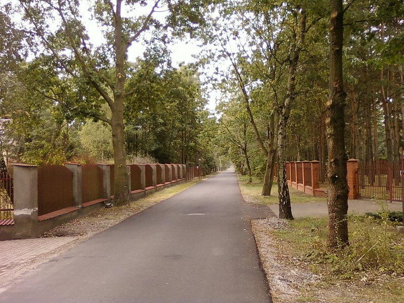 Al. Brzozowa, Rąbień
