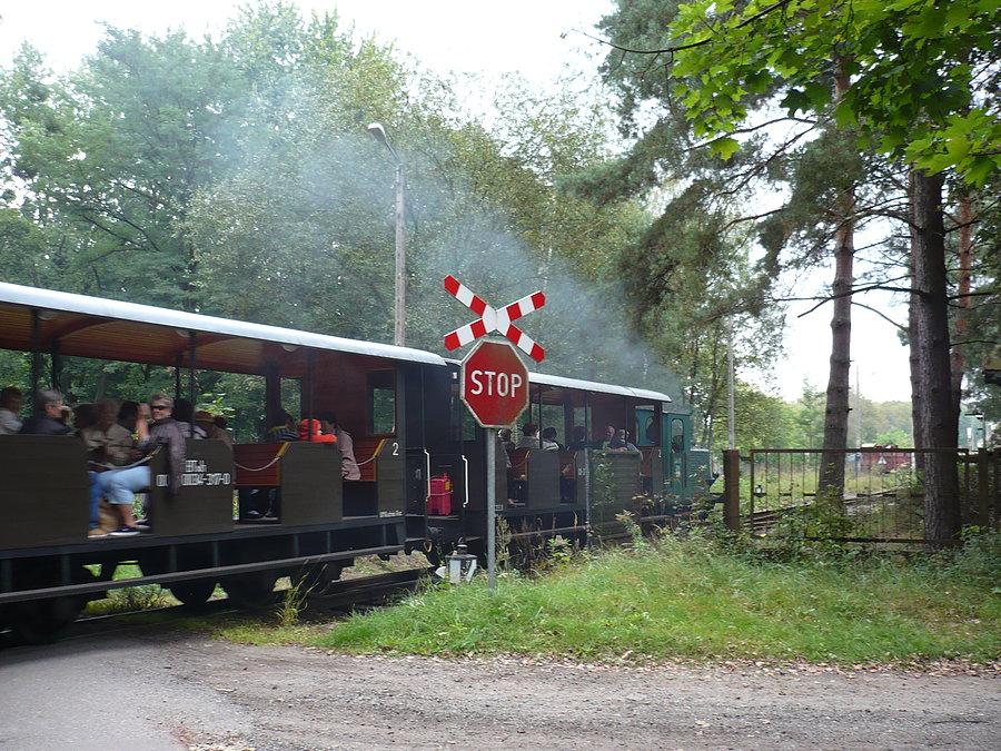 Wąskotorówka na trasie
