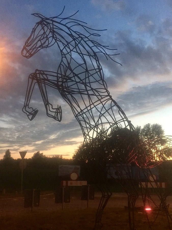 Eo jest koń Kwidzyński na miarę naszych możliwości