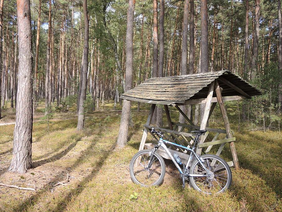 Paśnik w okolicy stawów