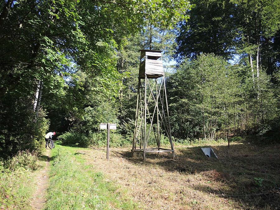 Ambona myśliwska na terenie użytku ekologicznego