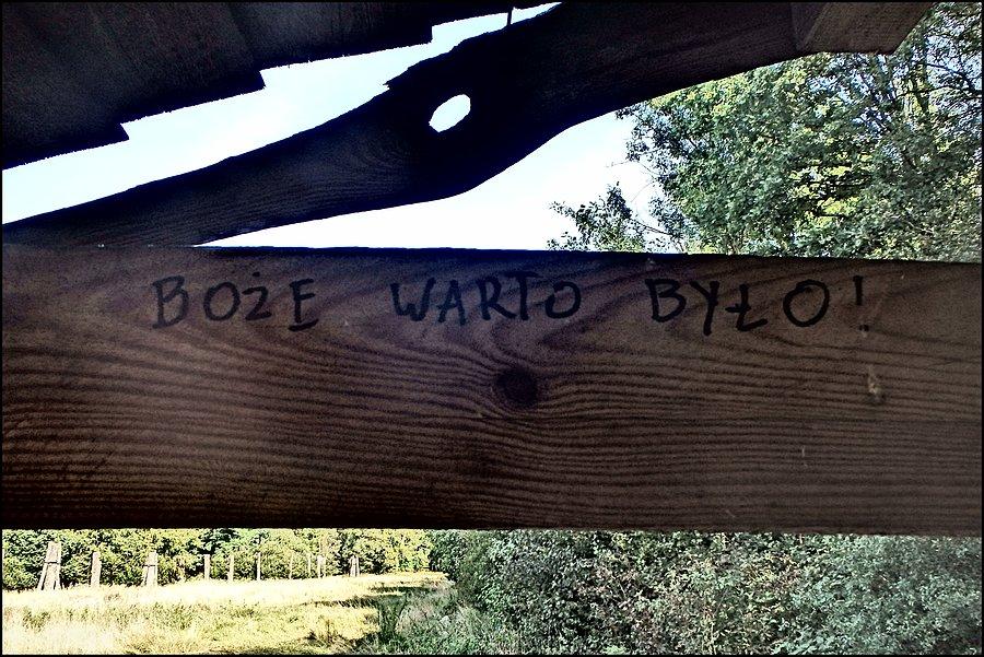 Boże warto było!