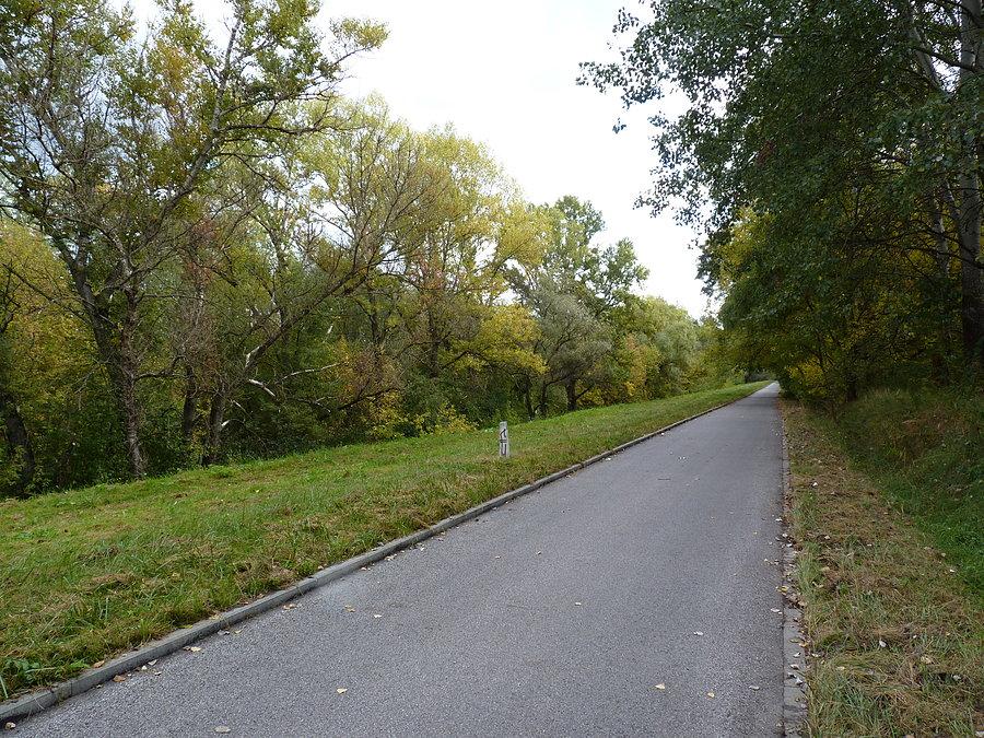 Do Gassów