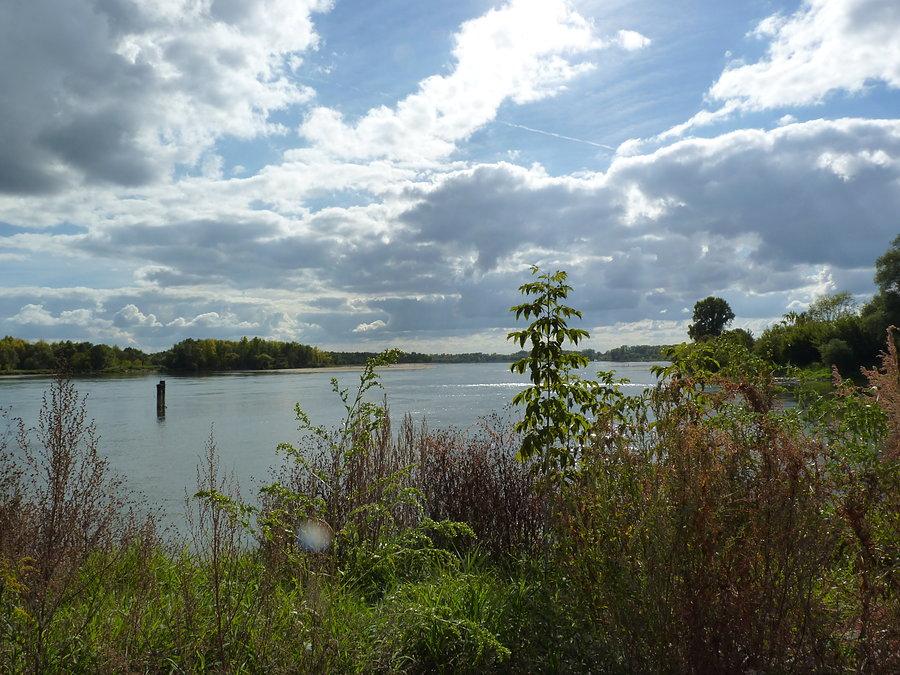 Wisła