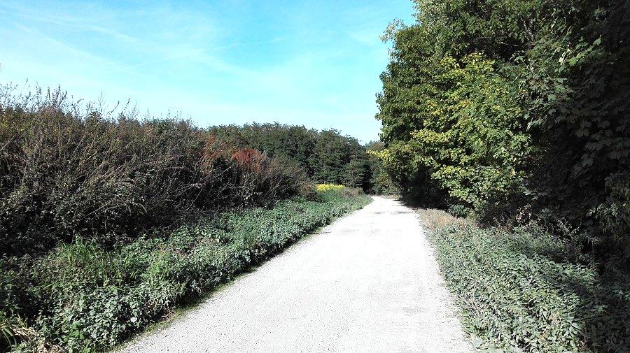 Pierwszy raz szutrem w dół do Gzina Dolnego