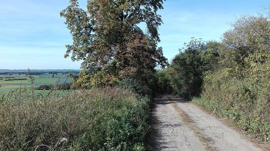 Obok stoku podkusił mnie szutrowy zjazd