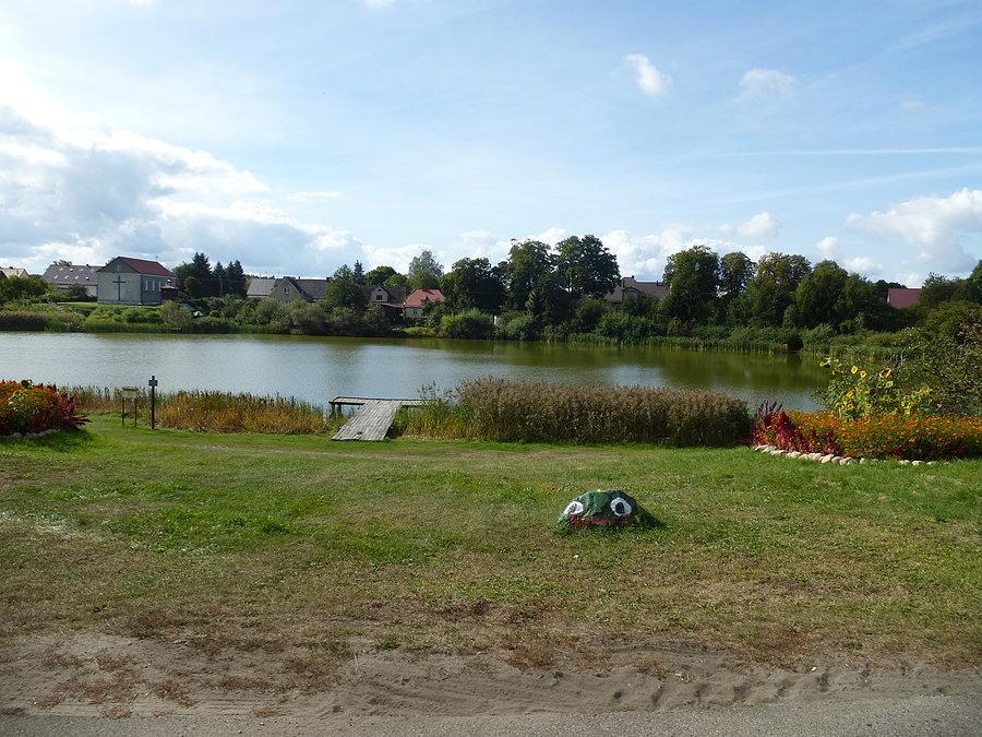 Żaba