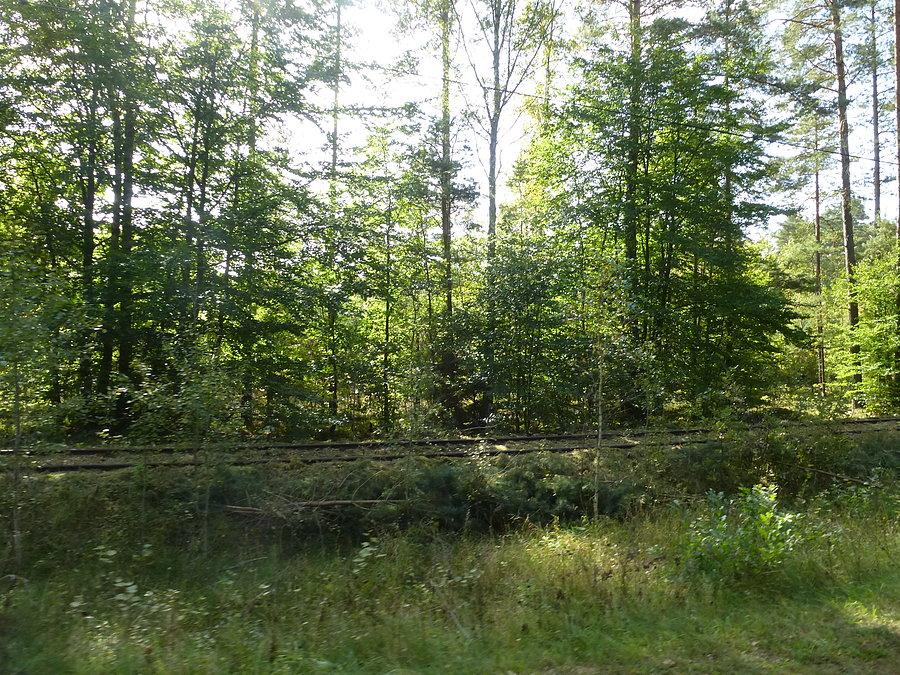 Zwijają tory