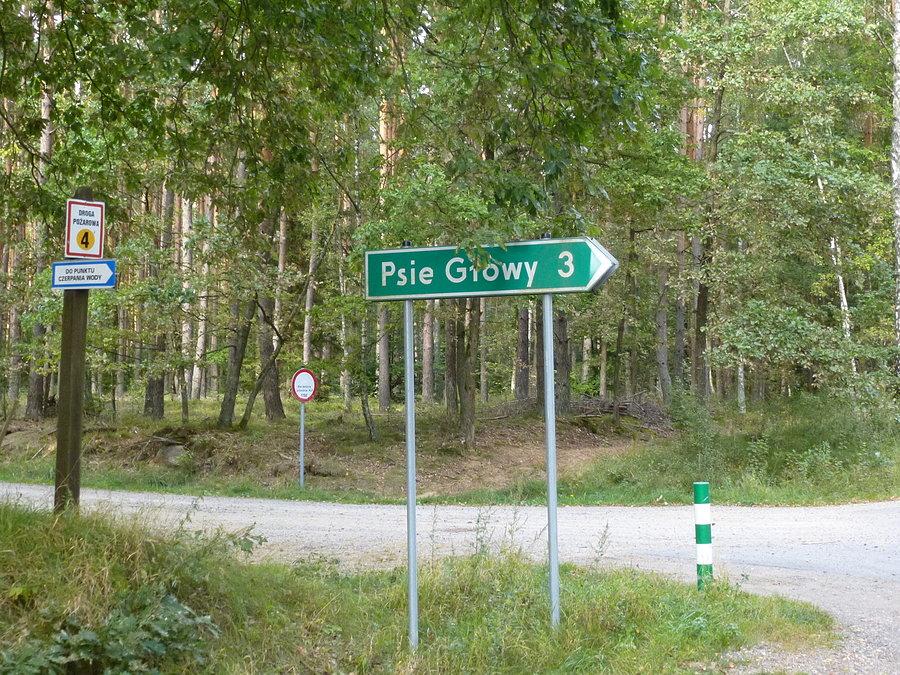 Psie głowy- nie widziałem