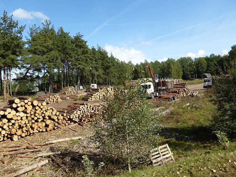 Tartak