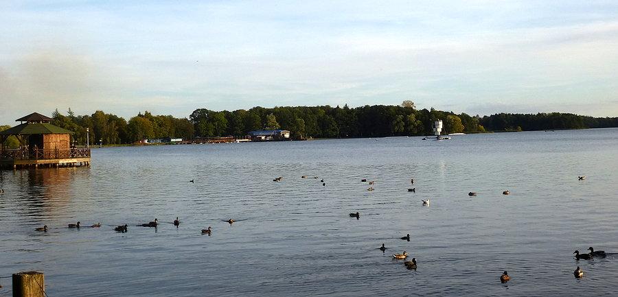 Szczecinek