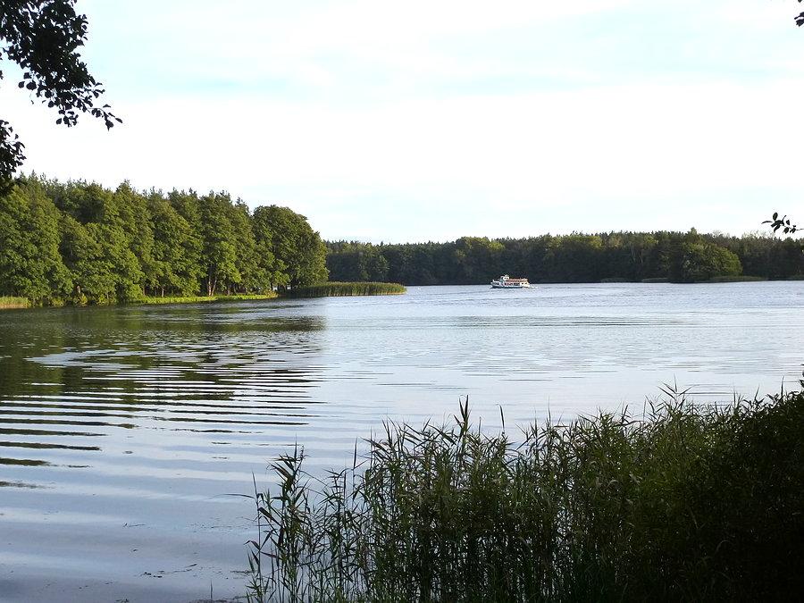 Szczecinek