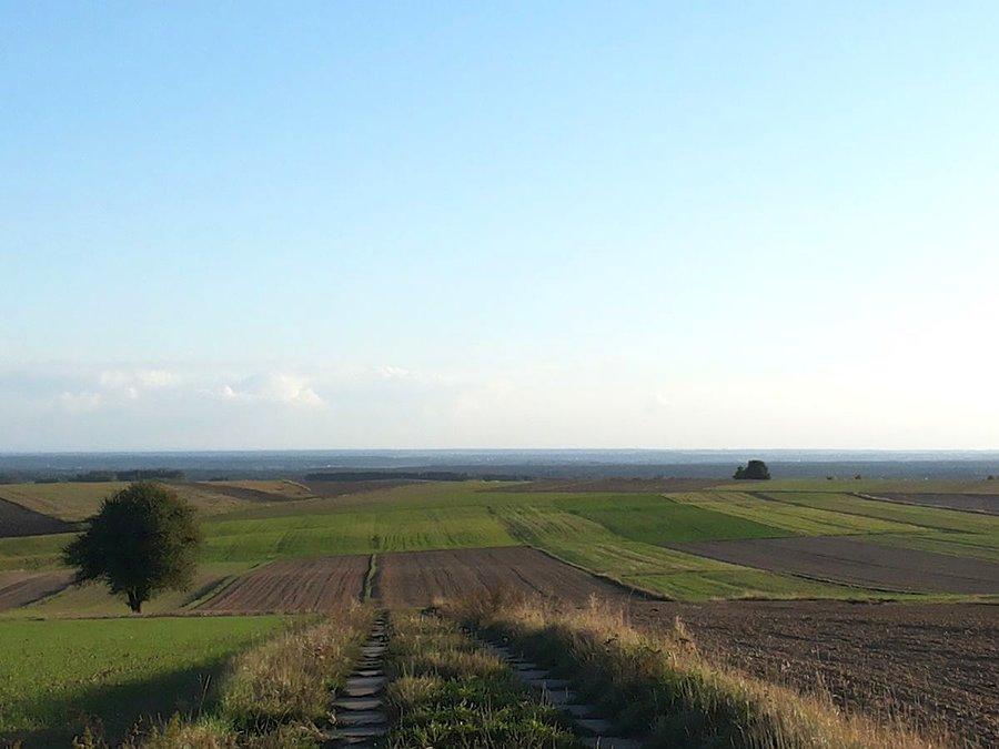 Widok na południe
