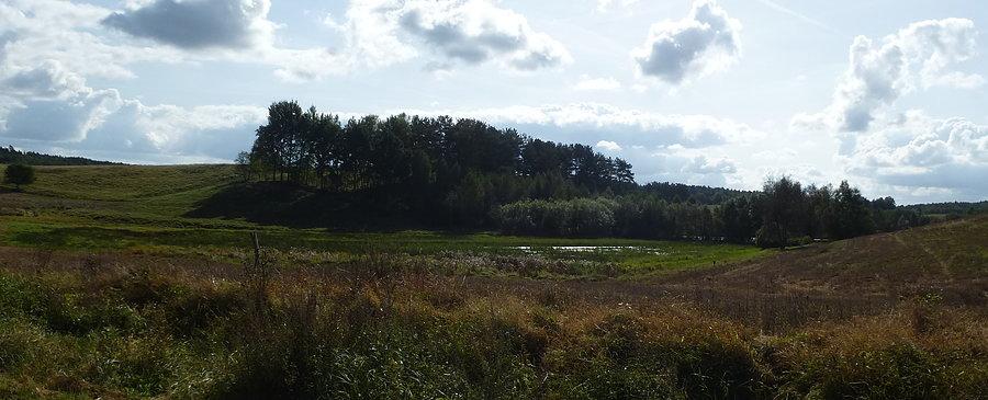 Pejzaż