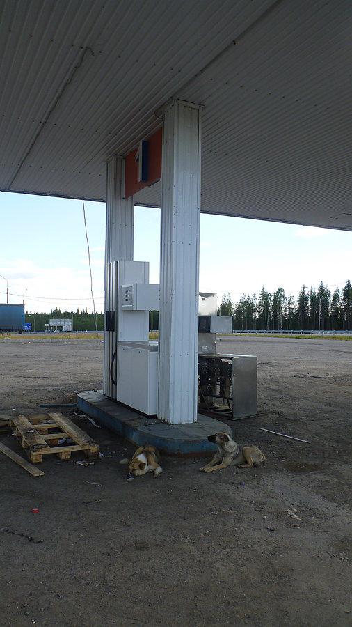 Od ostatniej stacji przejechaliśmy 120km... do następnej tyle samo