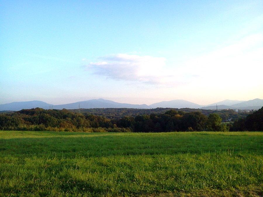 Beskid Morawsko-śląski (Trawny, Łysa Góra, Smrk i Knehyne)