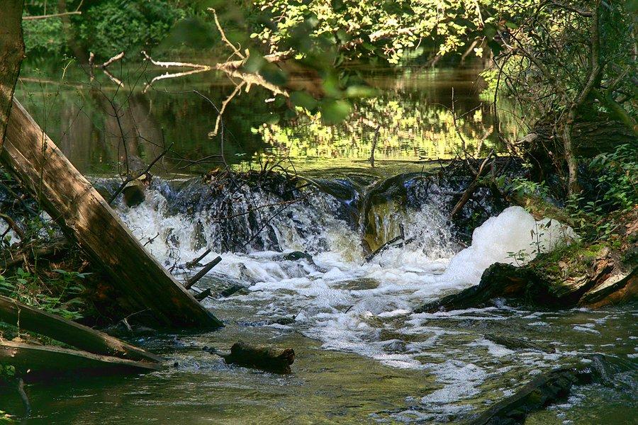 Nad Krapielą za Strachocinem
