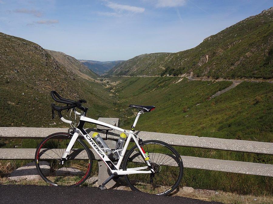 Orbea