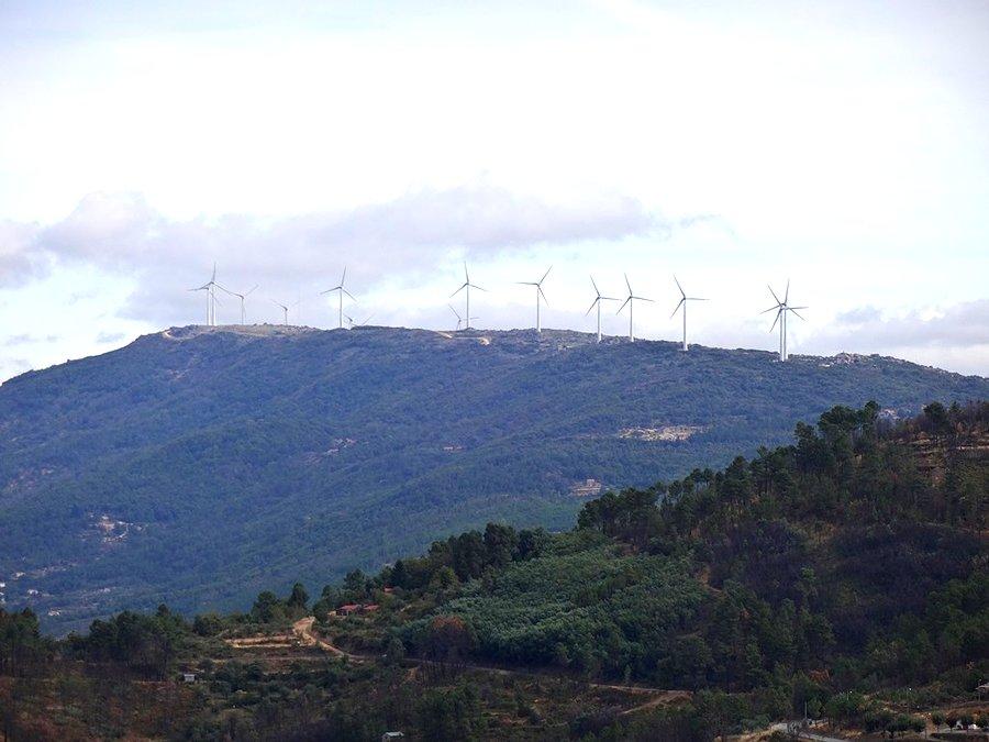 Wiatraki