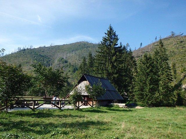 Dolina Kościeliska. Na pierwszym planie - Bacówka z Oscypkami.