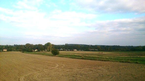 Pola w Iżycach