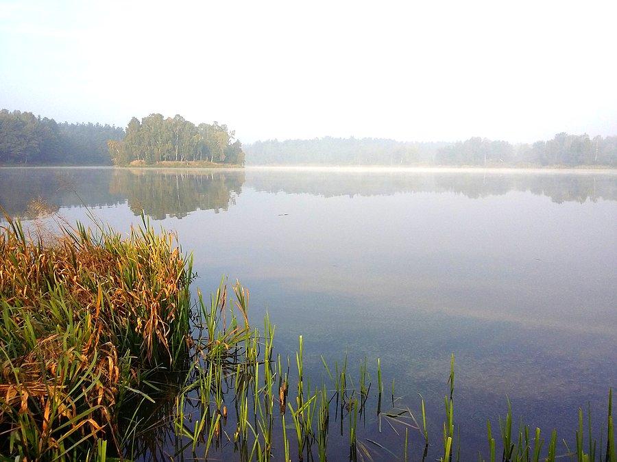 Poranna mgła nad zbiornikiem w Blachowni I