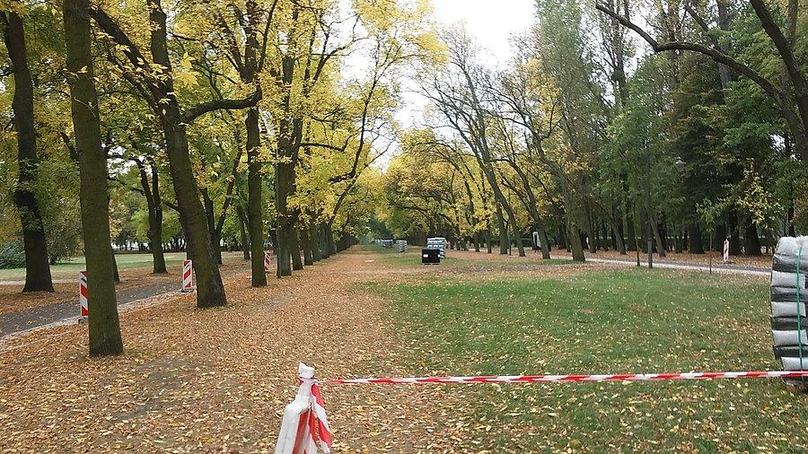 Park na Zdrowiu