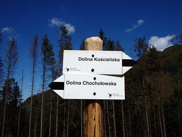 Same doliny. Czy aby na pewno jestem w górach?;)