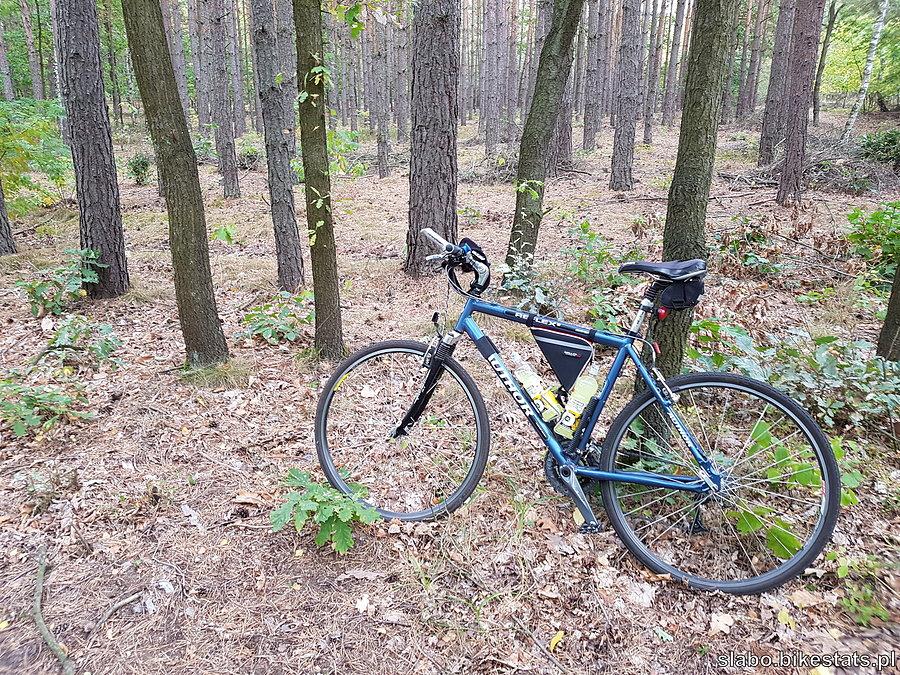 Przez las pod Grotnikami