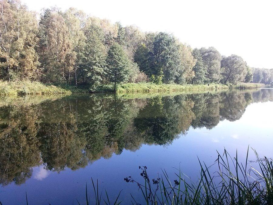 Park w Kazimierzu