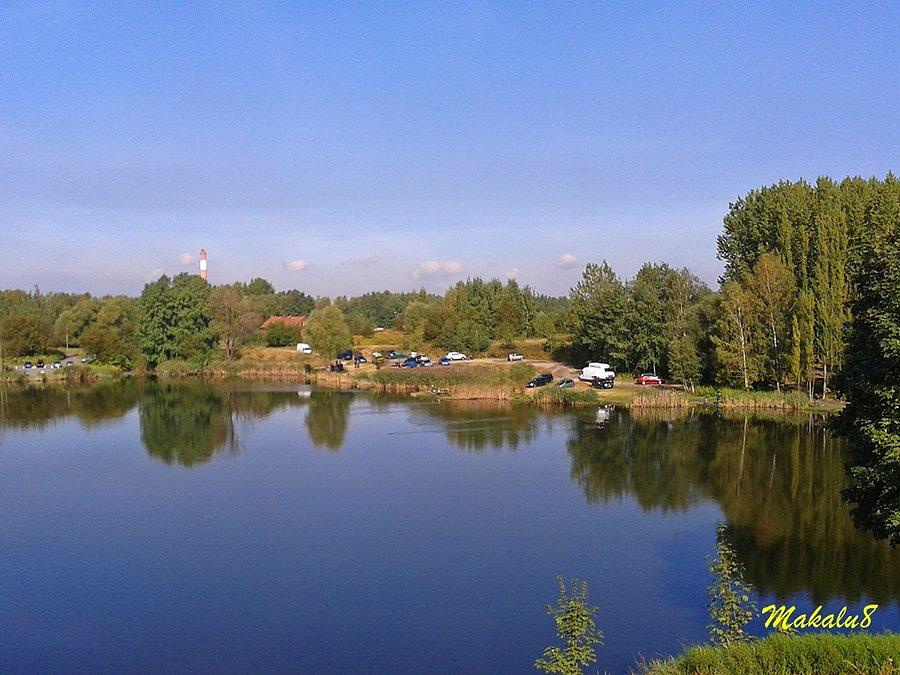 Zawody wędkarskie
