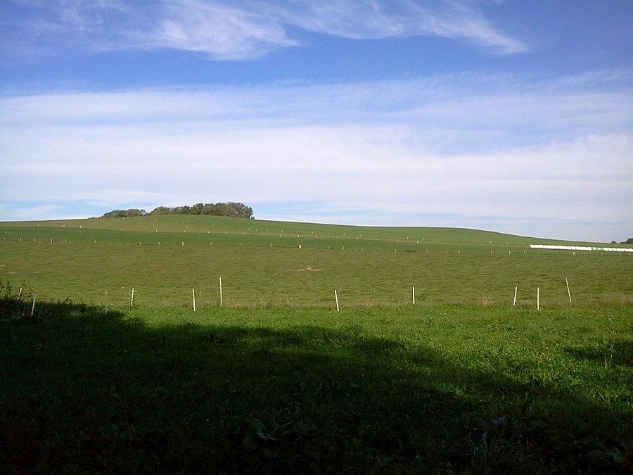 Kopiec Hůrky 342 m