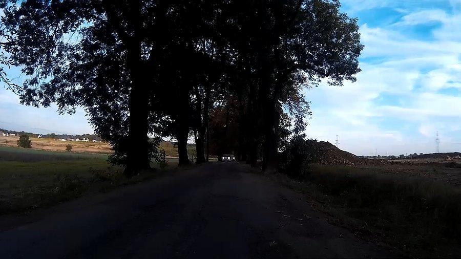 Coś tutaj robią. Czyżby w tym roku były ostatnie zbiory kukurydzy? Coś budują?