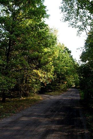 Wzdłuż torów