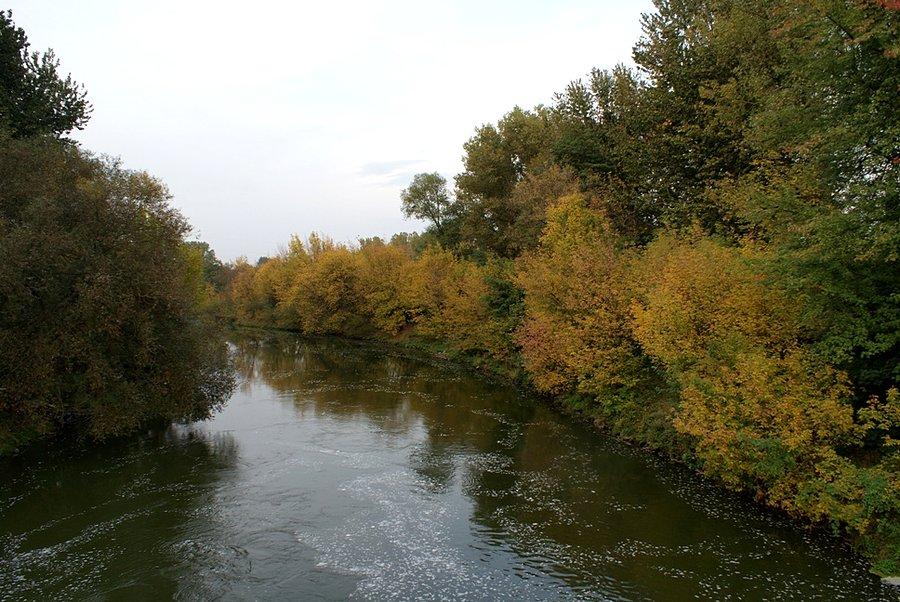 Nad jesienną Pilicą