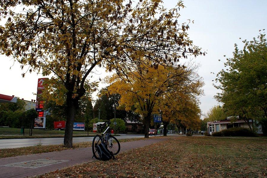 Jesienna ddr na św. Antoniego w Tomaszowie