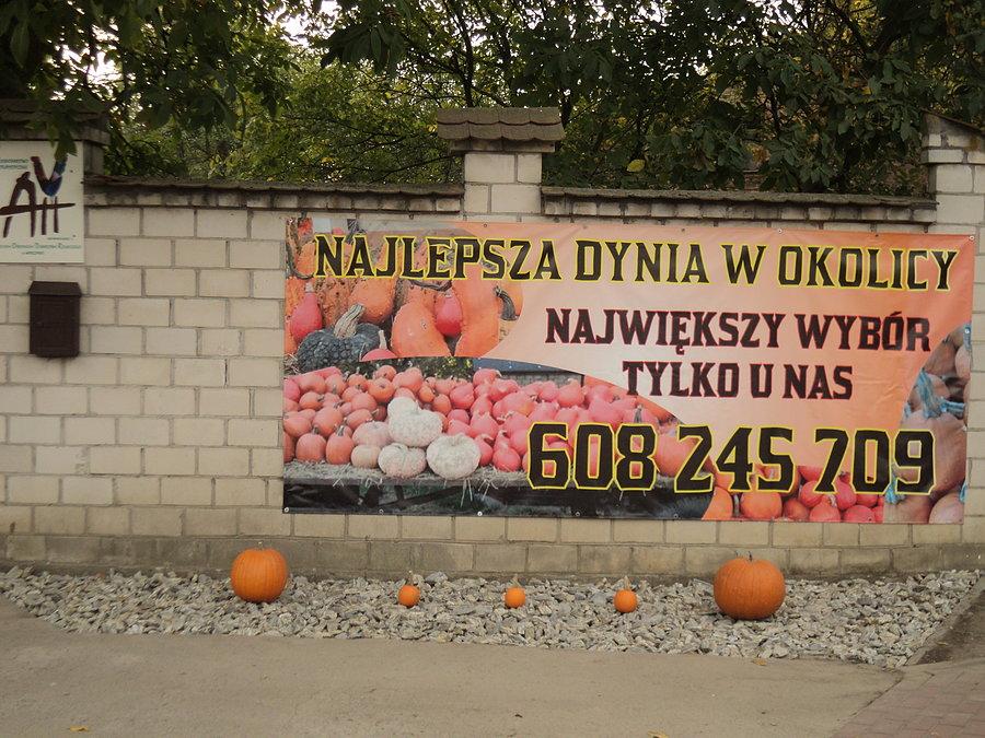 Taka tam reklama za free