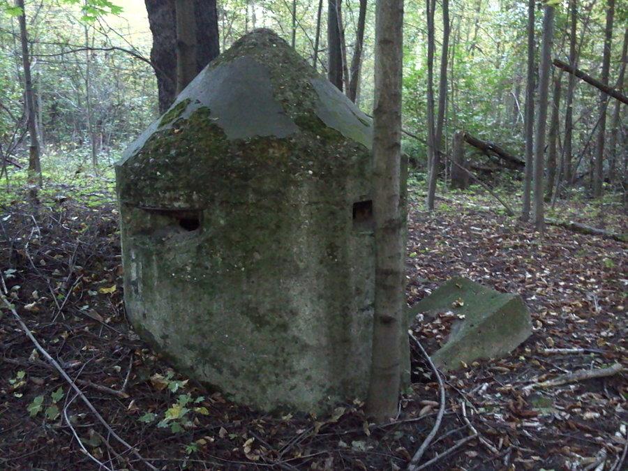 Einmanbunker w lesie koło