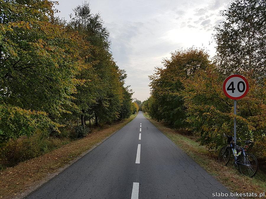 Jesiennie zabarwiona droga z Babic do Babiczek