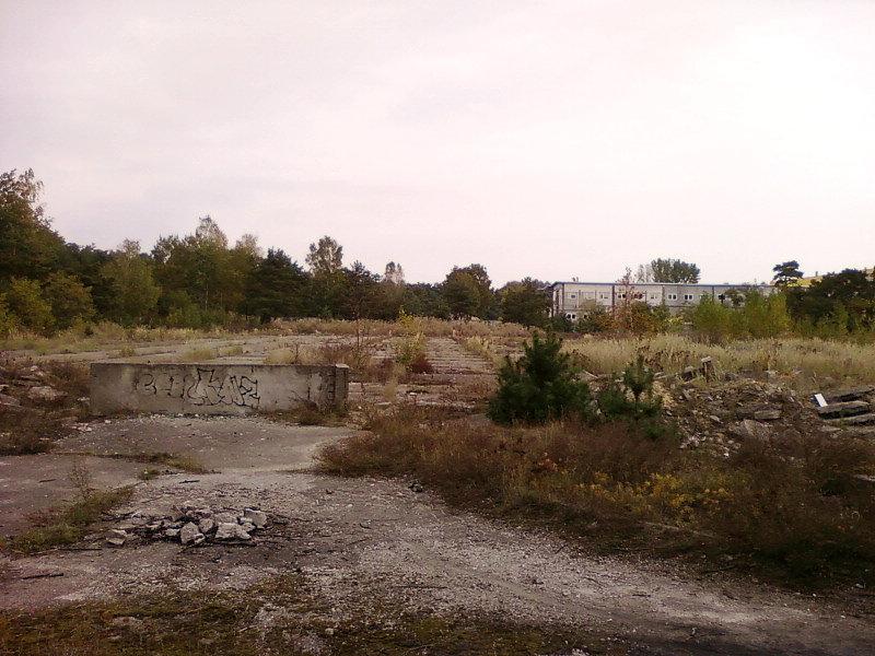 Zarośnięty plac