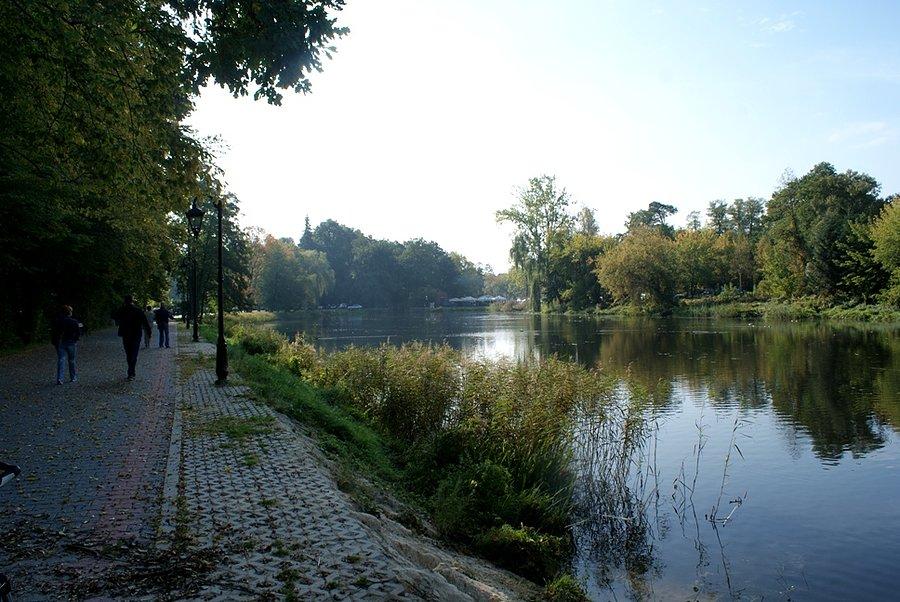 Na deptaku tuż obok stawu spalskiego