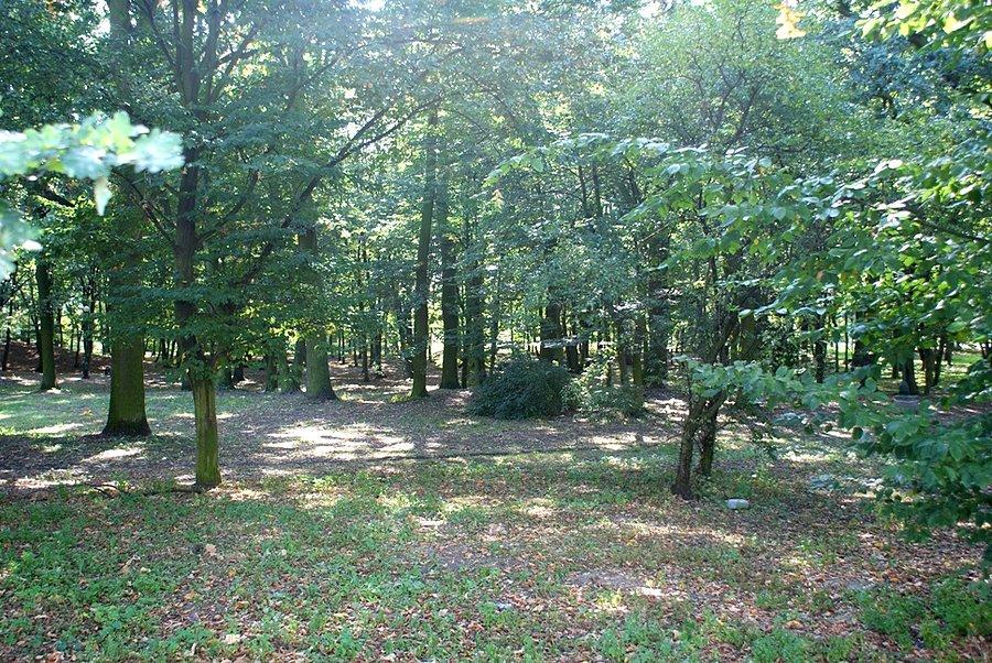 Park Michałówek - w przyszłym roku odbędzie się jego rewitalizacja w ramach Budżetu Obywatelskiego